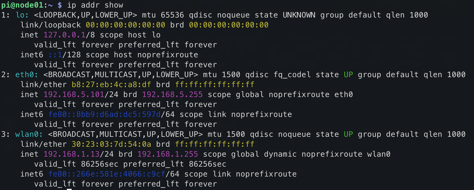 ip addr show showing static IP assignment and WiFi connection